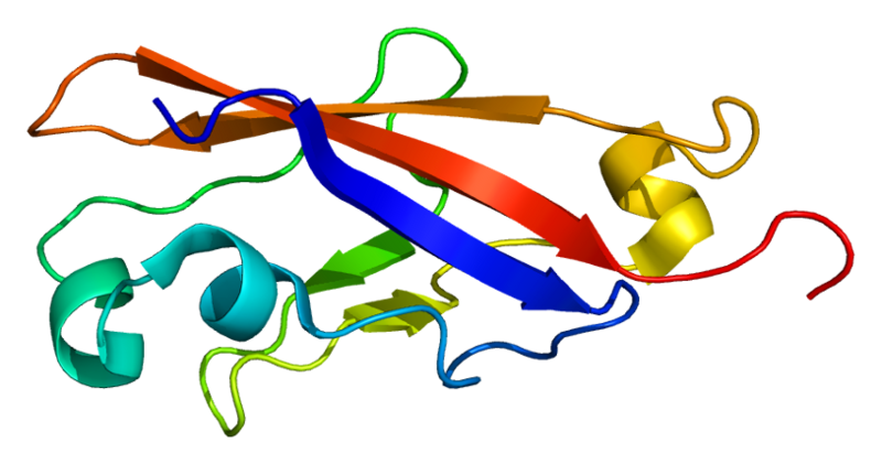 File:Protein PCDHA4 PDB 1wuz.png