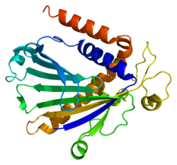 Protein PITPNA PDB 1kcm.png