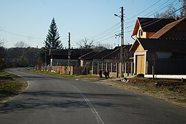 Road in Scorțeni