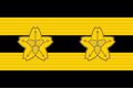 Rank Insignia of Janpan Volunteer Fire Department - Assistant Volunteer Squad Chief.svg