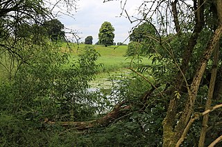 Marbury Reedbed Nature Reserve