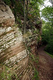 Jurásico: Subdivisiones, Paleogeografía, Vegetación