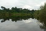 Miniatura para Área protegida municipal Ibare-Mamoré