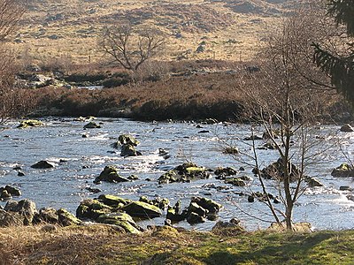 River Gaur River Gaur - geograph.org.uk - 380200.jpg