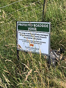 Protection of roadside verge in Northumberland UK Roadside Verge.jpg