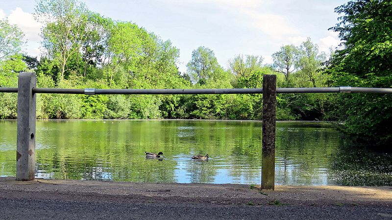 File:Roadside fishing pond barrier at Matching, Essex, England 03.jpg