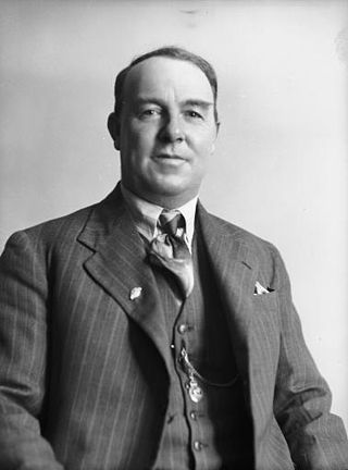 <span class="mw-page-title-main">Robert Macfarlane (New Zealand politician)</span> New Zealand politician (1900–1981)