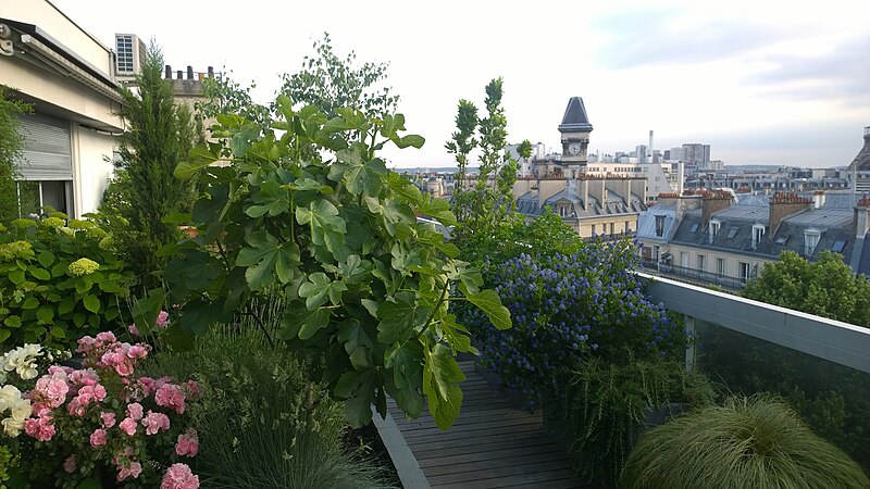 File:Roof garden in Avenue Rapp (23).jpg