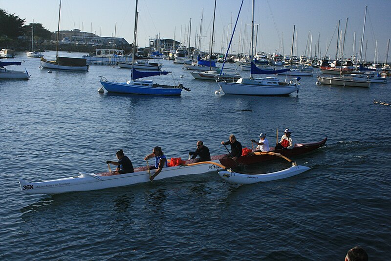 File:Rowers in Monterey Bay.jpg