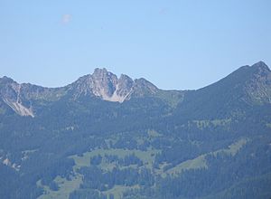 Schillerkopf