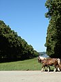 Blick vom Schlosspark der Herreninsel Richtung Prien