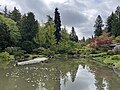 Seattle Japanese Garden