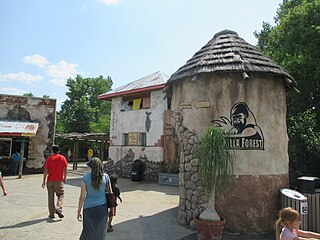 The Downing Gorilla Forest at the Sedgwick County Zoo (2013)