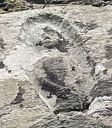 Faded Sheela na gig on an outer wall of the Catholic church