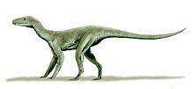 Silesaurus BW.jpg