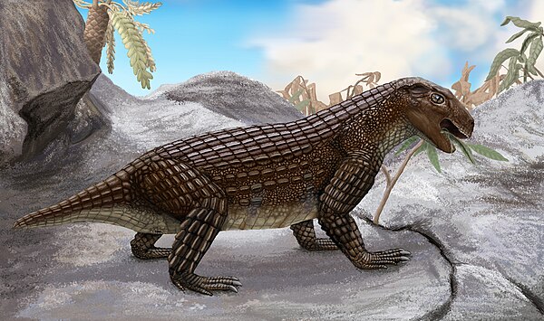 Life restoration