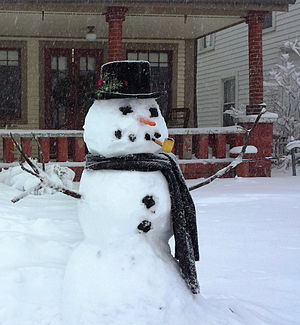 Snowman in Indiana 2014.jpg