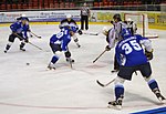 שחקני סוקיל, 2010