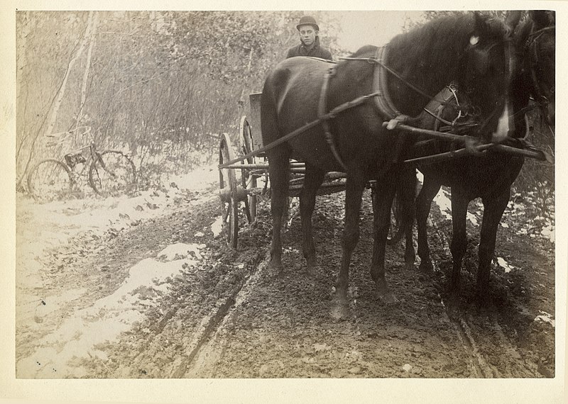 File:Springfield to Great Barrington, station no. 334, Southwick, by the Commission to Improve the Highways of the Commonwealth, 1892, from the Digital Commonwealth - SLM Photograph 369 334.jpg