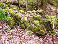 Vorschaubild für Burgruine Hüttenstein