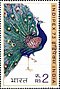 Stamp of India - 1973 - Colnect 372313 - Common Peacock Pavo cristatus.jpeg