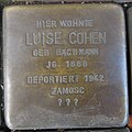 image=File:Stolperstein_Am_Markt_24_Luise_Cohen.jpg