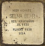 Stolperstein für Selma Behr (Ulm).jpg
