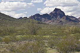 Hummingbird Springs Wilderness.jpg'deki Sugarloaf Dağı