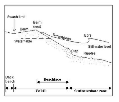 Schematic illustrating how the elevation of the shoreline berm