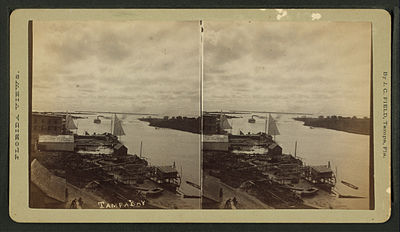 Tampa's waterfront, 1890.