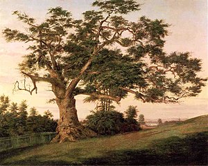 Painting of an oak tree