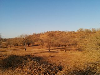Khathiar-Gir dry deciduous forests