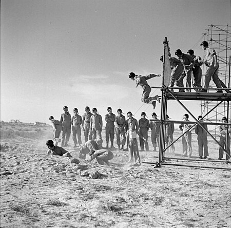 Tập_tin:The_Special_Air_Service_(sas)_in_North_Africa_during_the_Second_World_War_E6390.jpg