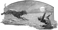 English: Illustration from The Strand Magazine, Volume 1, Issue 2