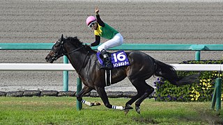 <span class="mw-page-title-main">Titleholder (horse)</span> Japanese Thoroughbred racehorse
