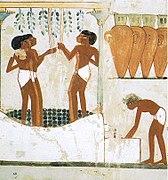 Foulage, premier type de pressurage (fresque du tombeau TT52 de Nakht, en Égypte antique, vers -1400).