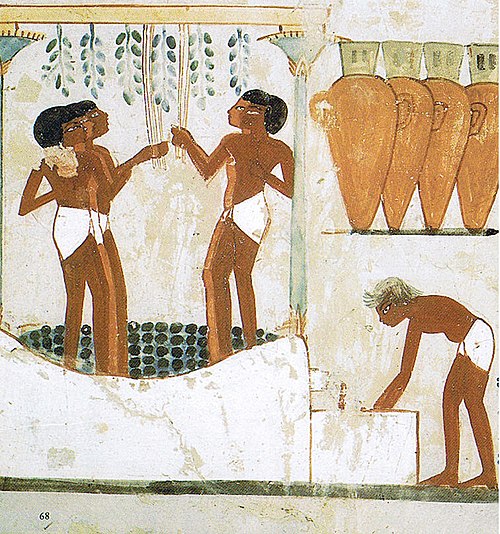 Grapes being trodden to extract the juice and made into wine in storage jars. Tomb of Nakht, 18th dynasty, Thebes, Ancient Egypt.