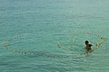 * Nomination Lagoon fishing in Lakshadweep. By User:PoojaRathod --PJeganathan 05:23, 9 June 2017 (UTC) Comment Nice motiv but the dust spot on the right side is disturbing IMO--Ermell 07:02, 9 June 2017 (UTC) Thanks for the input. Removed the black dot. See if it is ok now--PJeganathan 17:15, 12 June 2017 (UTC) * Promotion Good quality. --Ermell 21:14, 12 June 2017 (UTC)