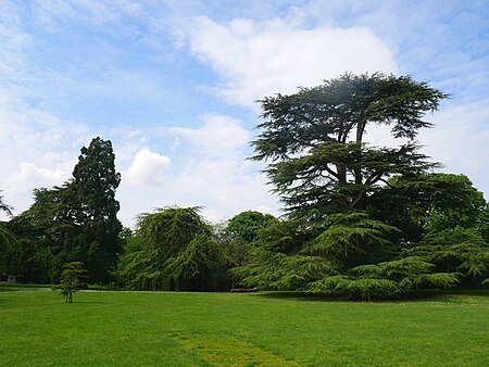 Trees in Boston Manor Park (02)