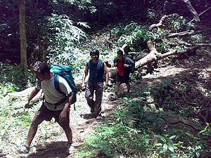 Trekking1.jpg 