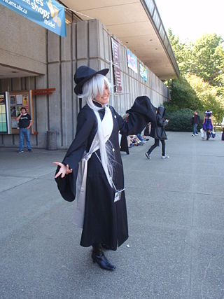 <span class="mw-page-title-main">Anime Evolution</span> British Columbian anime convention