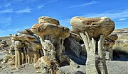 Vignette pour Bisti/De-Na-Zin Wilderness