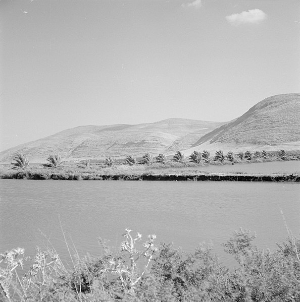 File:Visvijvers met op de achtergrond een gebergte, Bestanddeelnr 255-2860.jpg