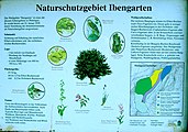 Infotafel zum Naturschutzgebiet Ibengarten bei Dermbach.