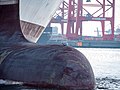 * Nomination: Seagull resting on a bulbous bow of an empty freighter in the port of Hamburg --MB-one 12:38, 22 January 2024 (UTC) * * Review needed