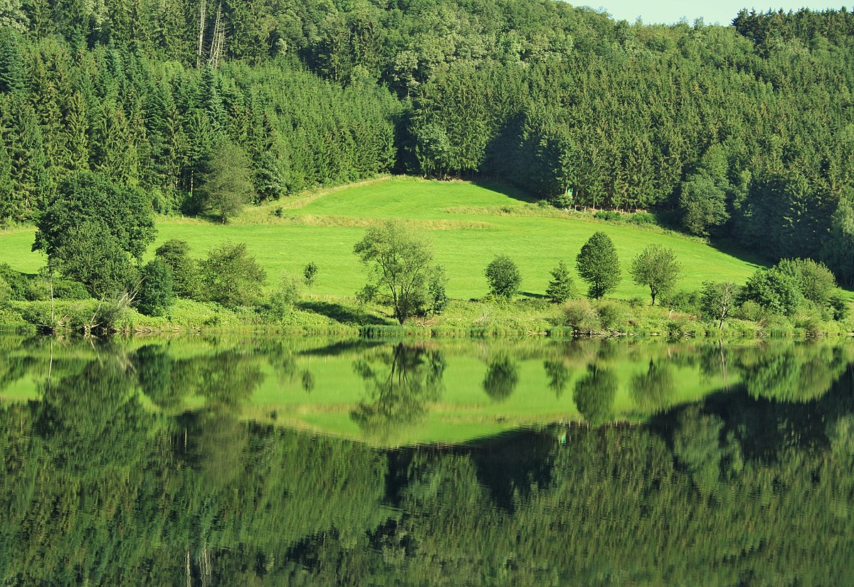 File Wasserspiegelung Am Morgen Jpg Wikimedia Commons