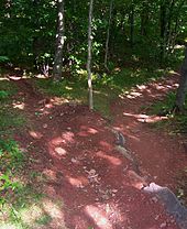 Photograph showing a waterbar drainage ditch to the left, the trail to the right