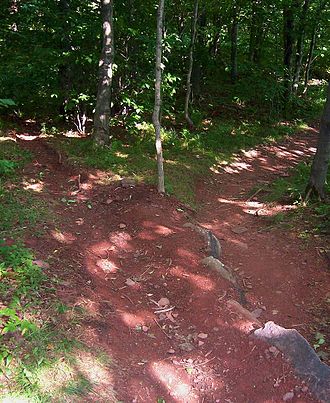 A water bar in the Catskills. The trail forks right; the drainage ditch to the left. Waterbar.jpg