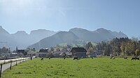 Weissbad mit Alpstein