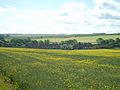 West Lutton from Malton Lane